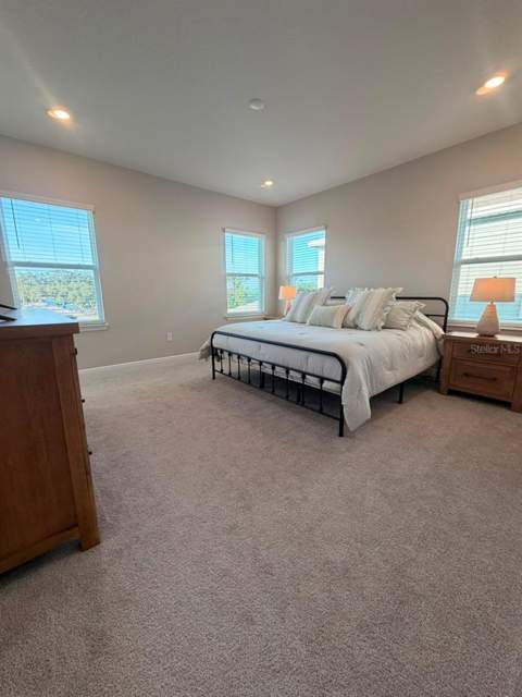 16968 Hamlin Oasis Loop, Winter Garden FL - photo 19 of 35