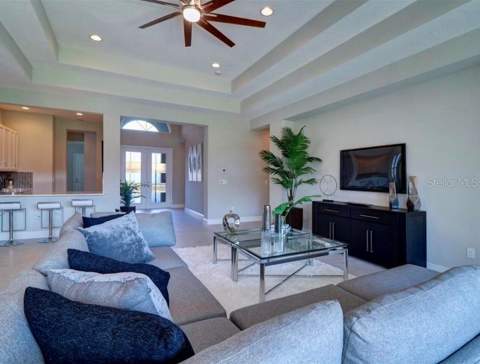 30582 Ivy Forge Court, Wesley Chapel FL - photo 6 of 6