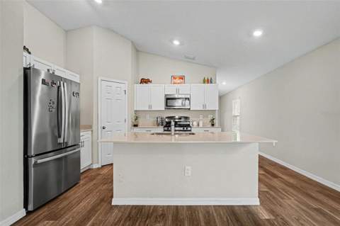 14919 Sterling Spur Avenue, Lithia FL - photo 8 of 30
