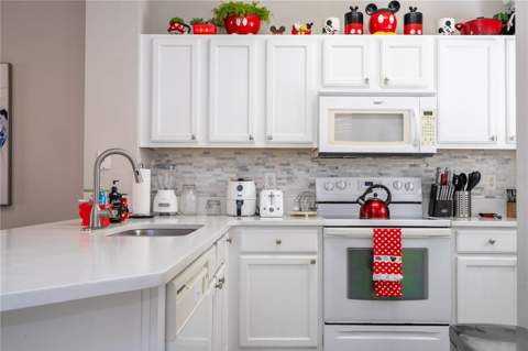 4554 Alberto Circle, Kissimmee FL - photo 7 of 42