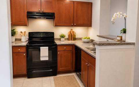 204 E South Street #3060, Orlando FL - photo 12 of 13