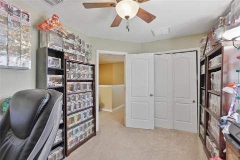 8718 Turnstone Haven Place, Tampa FL - photo 22 of 38