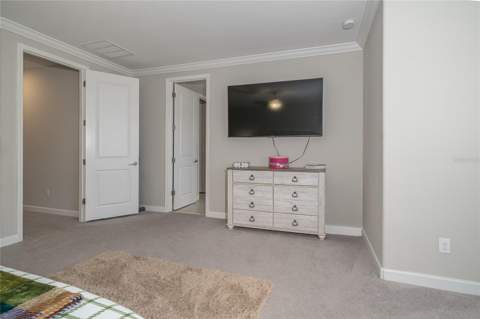 8099 Lago Mist Way, Wesley Chapel FL - photo 22 of 56