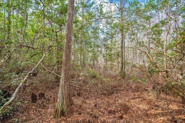 3 bedroom Single Family Residence at 11535 MATTIODA ROAD, ACREAGE & UNREC, GROVELAND — photo 3