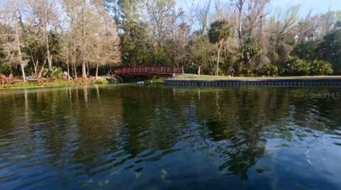 25647 Pine Valley Drive, Sorrento FL - photo 9 of 27