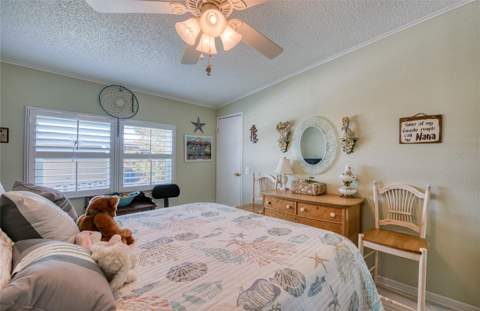 214 Dolphin Drive, Oldsmar FL - photo 21 of 46