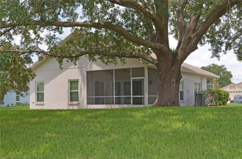 11333 Pink Blossom Court, Orlando FL - photo 6 of 47