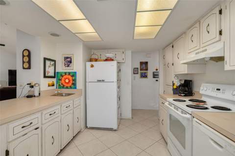 1338 Greenlea Drive, Holiday FL - photo 10 of 31