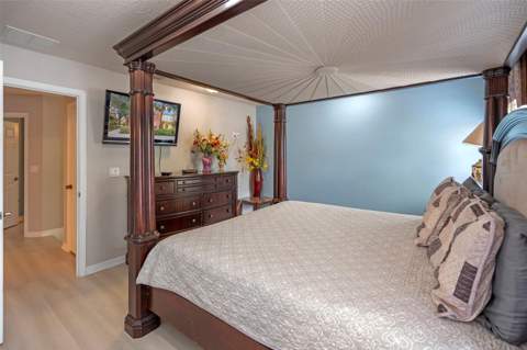 3015 Yellow Lantana Lane, Kissimmee FL - photo 14 of 54