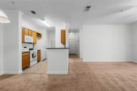 18525 Bridle Club Drive #18525, Tampa FL - photo 18 of 38