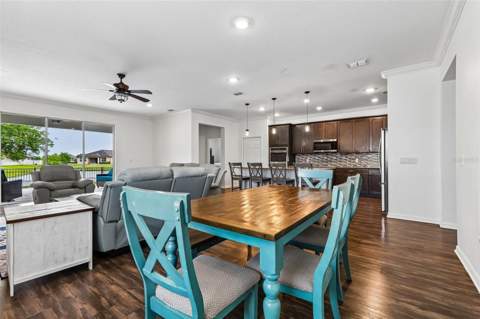 8245 Olive Brook Drive, Wesley Chapel FL - photo 7 of 40