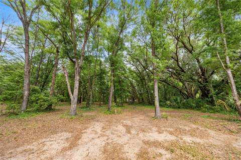 12882 SE 78th Terrace, Summerfield FL - photo 6 of 6