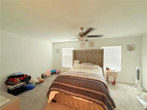 253 Tulip Banded Way, Ruskin FL - photo 18 of 20