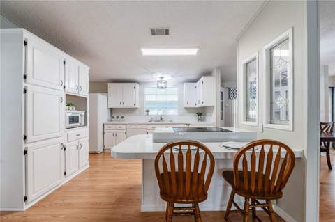 5335 Powhattan Street, Zephyrhills FL - photo 9 of 51