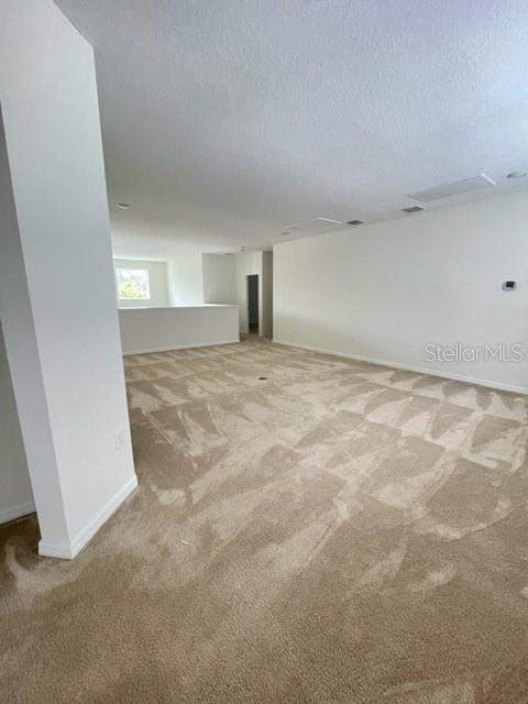 10103 Austrina Oak Loop, Winter Garden FL - photo 8 of 14