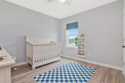 6803 Ezra Loft Place, Zephyrhills FL - photo 18 of 31