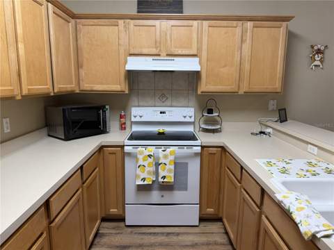 923 Bridgeway Boulevard, Orlando FL - photo 7 of 42