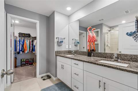 21851 Lyonia Lane, Land O Lakes FL - photo 20 of 50