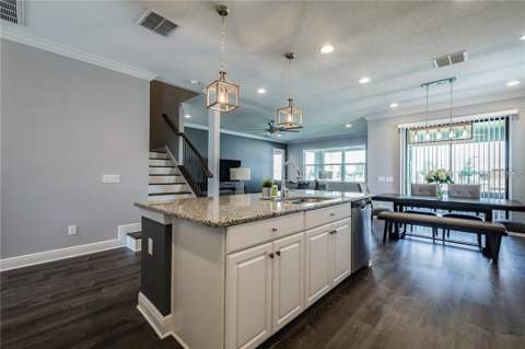 11301 Alachua Creek Lane, Riverview FL - photo 18 of 42