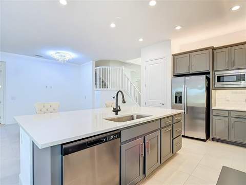 32676 Tree Of Life Avenue, Wesley Chapel FL - photo 17 of 47