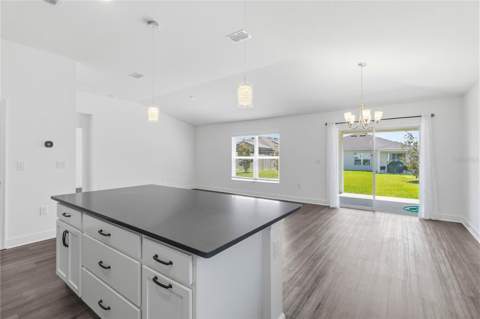 3837 Elk Bluff Road, St Cloud FL - photo 12 of 29