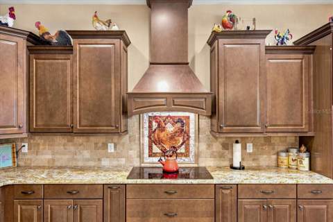 408 Hawk Talon Drive, Lithia FL - photo 15 of 59