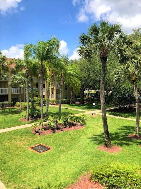 2690 Coral Landings Boulevard #438, Palm Harbor FL - photo 21 of 28