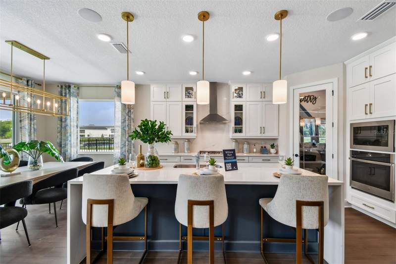 5 bedroom Single Family Residence at 3683 Wolves Creek Place, Willow Run, Apopka — photo 3