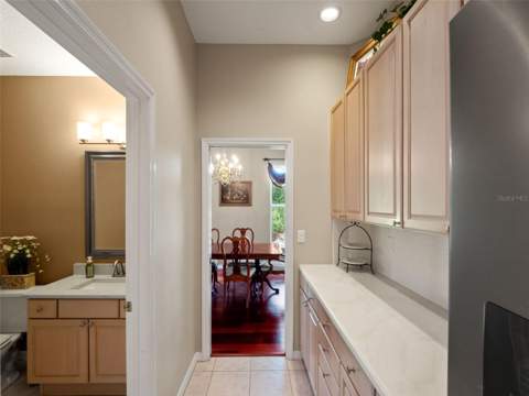 17422 Heather Oaks Place, Tampa FL - photo 17 of 78