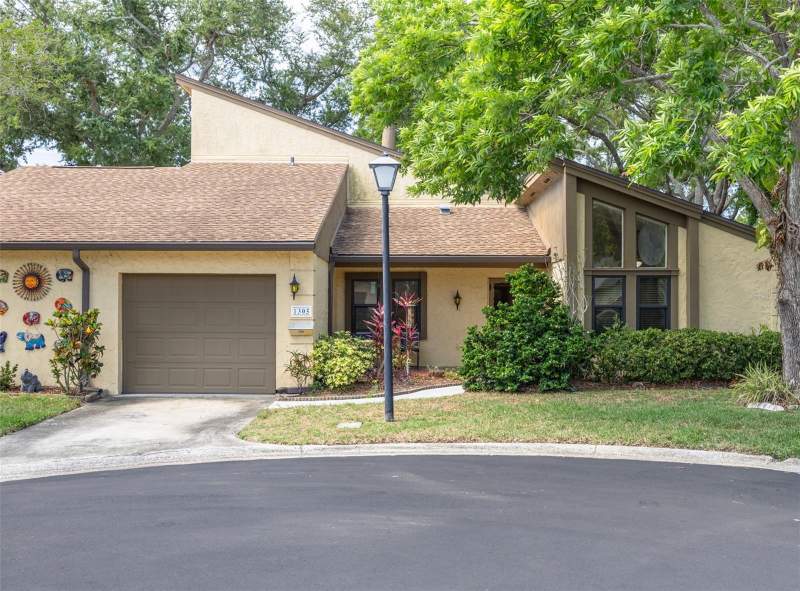 Raintree Village Condo