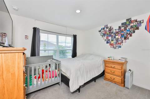 5244 Fiddle Fig Avenue, Wimauma FL - photo 14 of 51