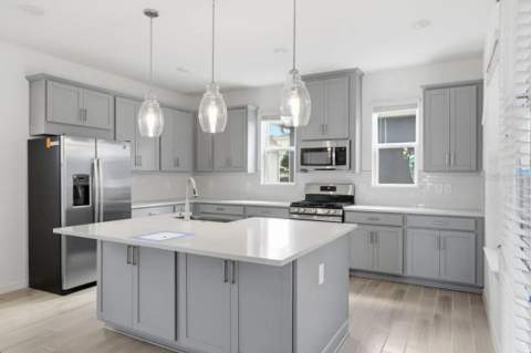 14791 Field Daisy Drive, Winter Garden FL - photo 6 of 6