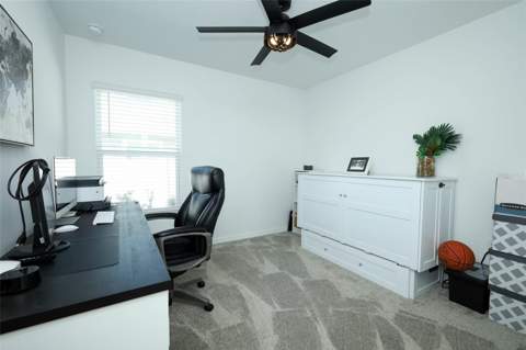 5325 Red Coral Circle, Mount Dora FL - photo 24 of 47