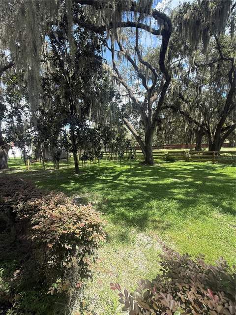 5125 Oakwood Trail, Mulberry FL - photo 13 of 18