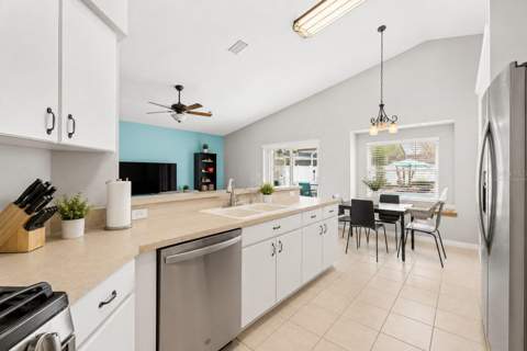 22741 Roderick Drive, Land O Lakes FL - photo 14 of 46