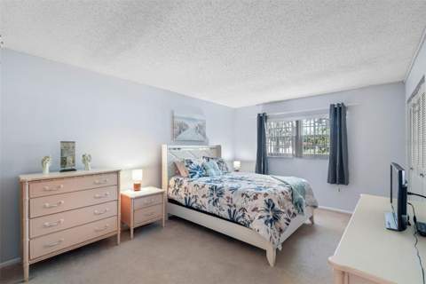 870 Virginia Street #104, Dunedin FL - photo 9 of 21