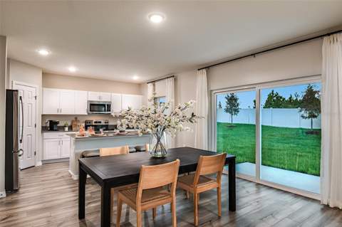 31685 Oyster Trellis Lane, Wesley Chapel FL - photo 12 of 27