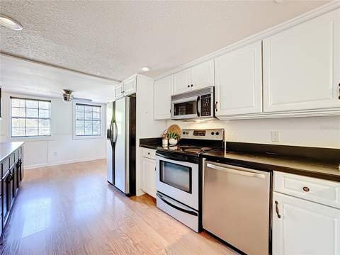 1148 N Grandview Street, Mount Dora FL - photo 18 of 82
