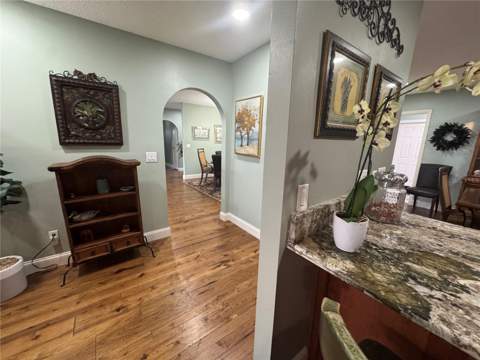 3545 Lake Padgett Drive, Land O Lakes FL - photo 16 of 63