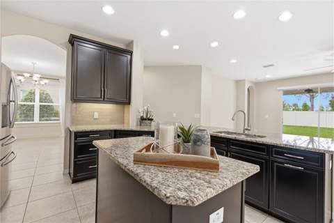 9167 Bella Vita Circle, Land O Lakes FL - photo 12 of 74