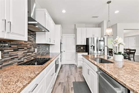 7697 Roma Dune Drive, Wesley Chapel FL - photo 15 of 64