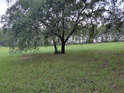 14240 Lost Lake Road, Clermont FL - photo 11 of 47