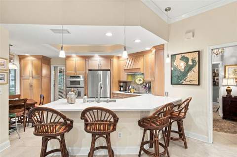 435 Date Palm Court, St Petersburg FL - photo 15 of 52