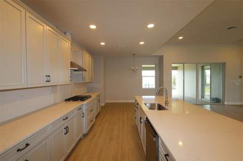 3193 Wolf Lake Avenue, Apopka FL - photo 6 of 6