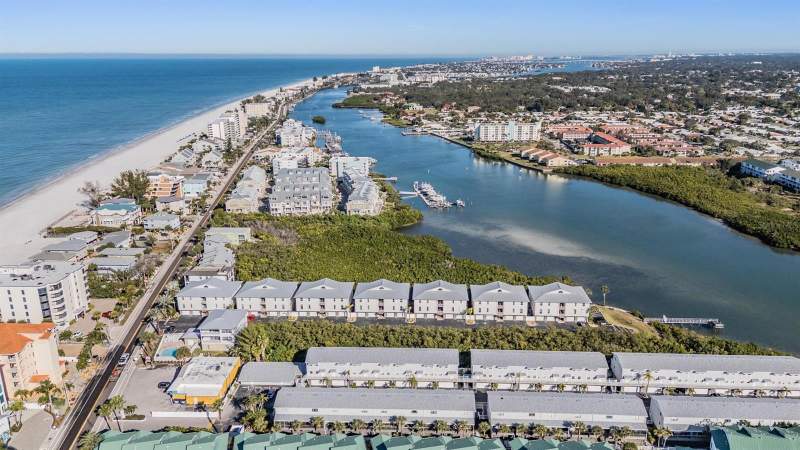 Sea Shell Of Indian Shores