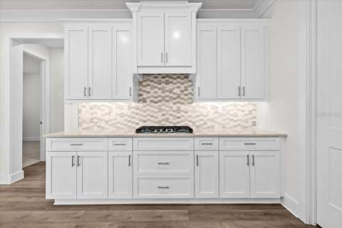201 Larocca Court, Palm Harbor FL - photo 15 of 49