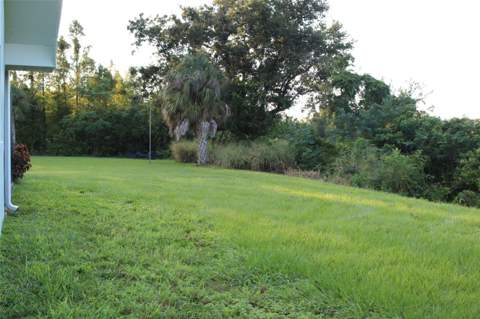 1304 Alameda Avenue, Clearwater FL - photo 10 of 48