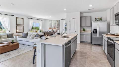 17924 Acorn Drop Road, Land O Lakes FL - photo 9 of 11