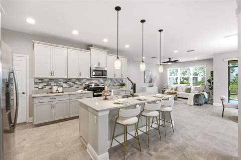 30040 Southwell Lane, Wesley Chapel FL - photo 9 of 61