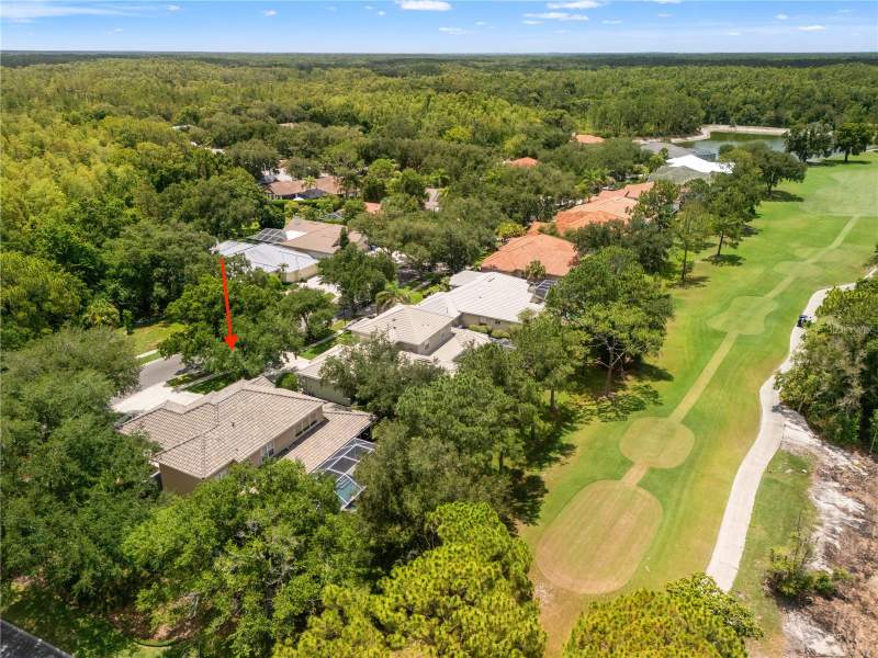 5 bedroom Single Family Residence at 17422 Heather Oaks Place, Hunters Green, Tampa — photo 4